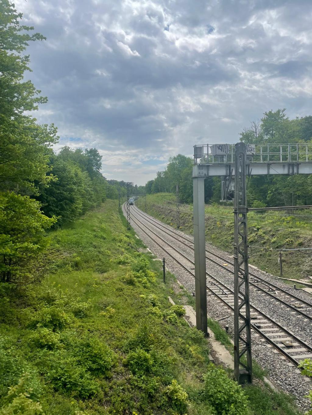 Plot twist – She finds herself on an excursion in&nbsp;nature.